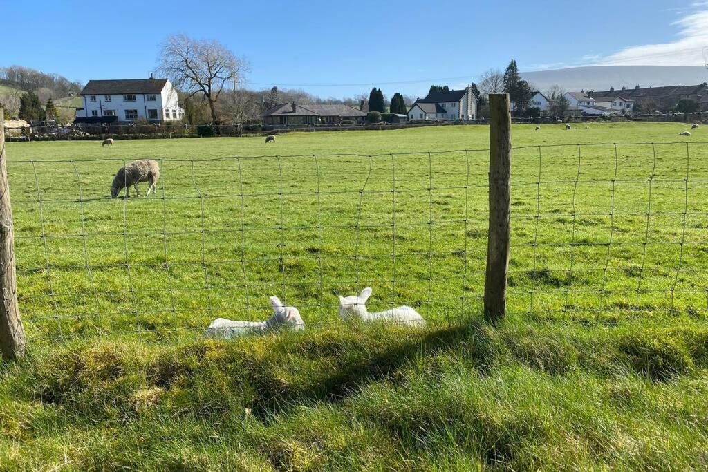 Sawley In The Forest Of Bowland - Cosy Cottage. Clitheroe Eksteriør billede
